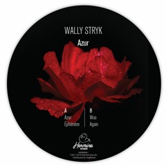PREMIERE: Wally Stryk - Éphémère [Hermine Records]
