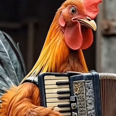 AQUECIMENTO SA SANFONINHA MALUCA 2025  (( DJ BT MPC ))