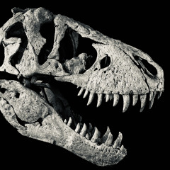 BŪCKSHOT(160+BPM VIOLENCE)