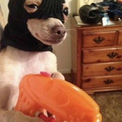 Shells x Hollaback Girl (Lil Uzi Vert x Gwen Stefani).mp3