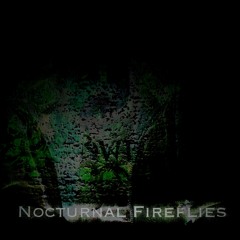 Nocturnal Fireflies