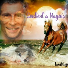 été2021 Special Clapier Set pour CINQUANTE QUATRE - NAGUI