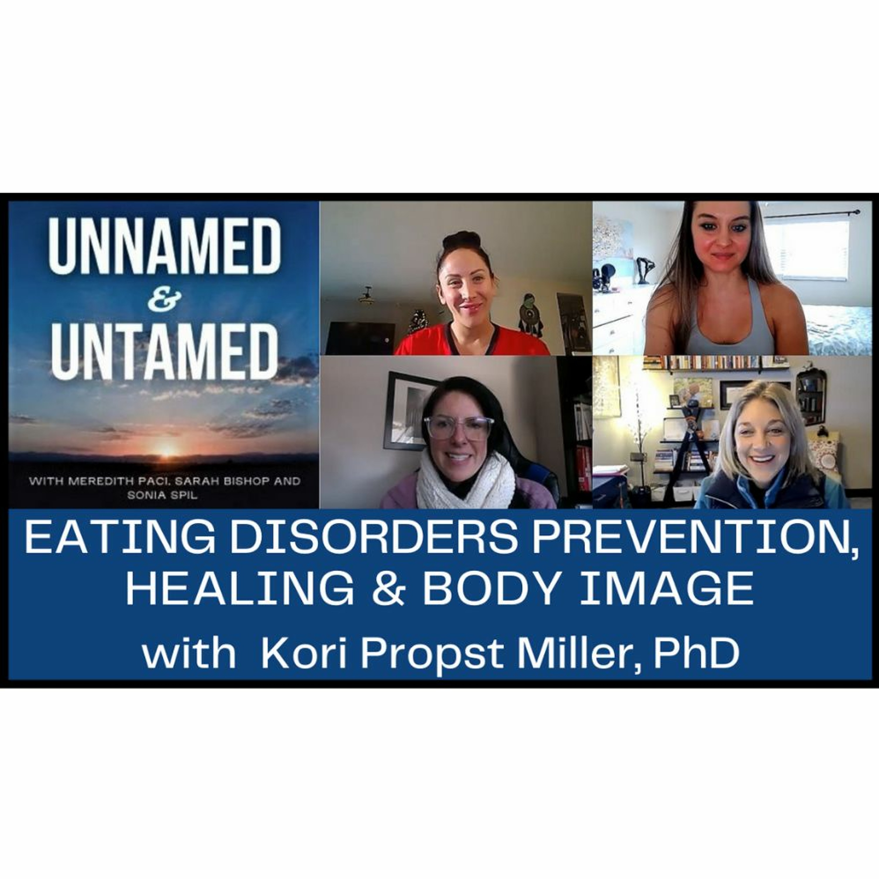 The Diet Doc Podcasts