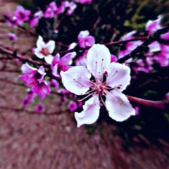 A Little Less So Soon