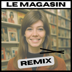 Françoise Hardy - Comment Te Dire Adieu (Le Magasin Remix) [EXTRAIT]