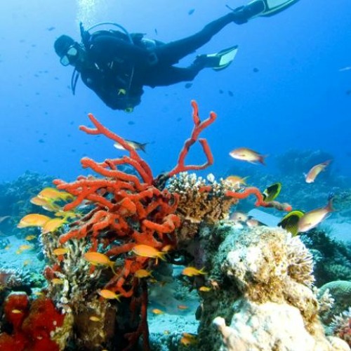 -----g royalty free background music FREE DOWNLOAD