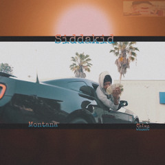 siddakid montana shine