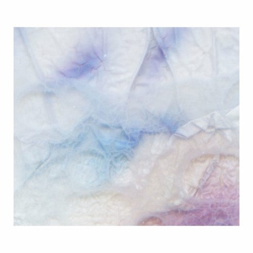 Fields We Found - chroma