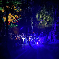 MYSTIC WOODS SET (05\05\2024)