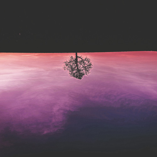 A Moth Got Singed in the Candle