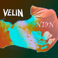 Velin - Onion