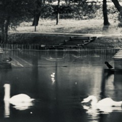 Wings (Demo v2) [mix by SOLONIGHT]