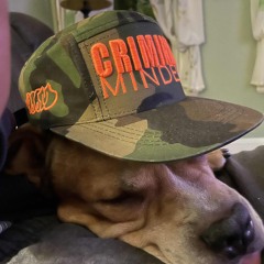 Check Out New Finds