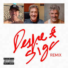 DESPE & SIGA (REMIX)
