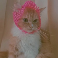 Adrian Vadil - Randai