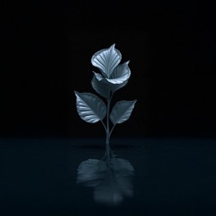 Teresa Luna - Yo te lo pedía (BLOOM Rework)