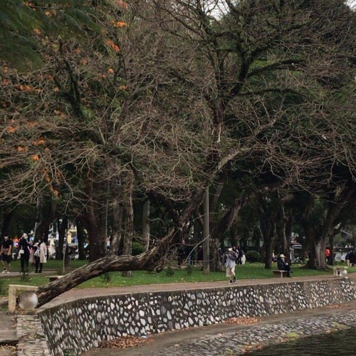 MỘT NGÀN NỖI ĐAU - Trung Quân Cover