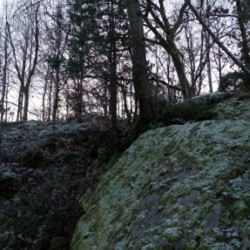 MooAmbient