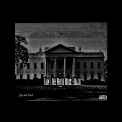 Paint the White House Black (Prod. YSP)