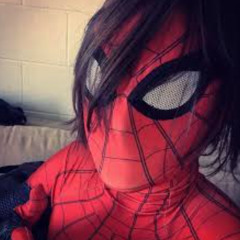 aranhaverso