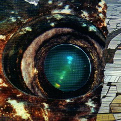 AU - Observado/r