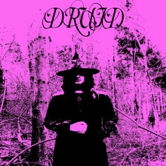 DRUID -A Wizard Who Lost His Witch