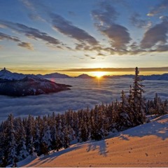 November 2021 Mixtape