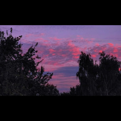 Beat Not So Fast Foolish Heart