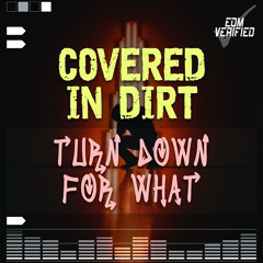 Covered In Dirt - Turn Down For What (Radio Edit)