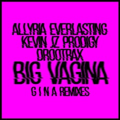 ALLYRIA EVERLASTING X DROOTRAX X KEVIN JZ PRODIGY - BIG VAGINA [G I N A REMIXES]
