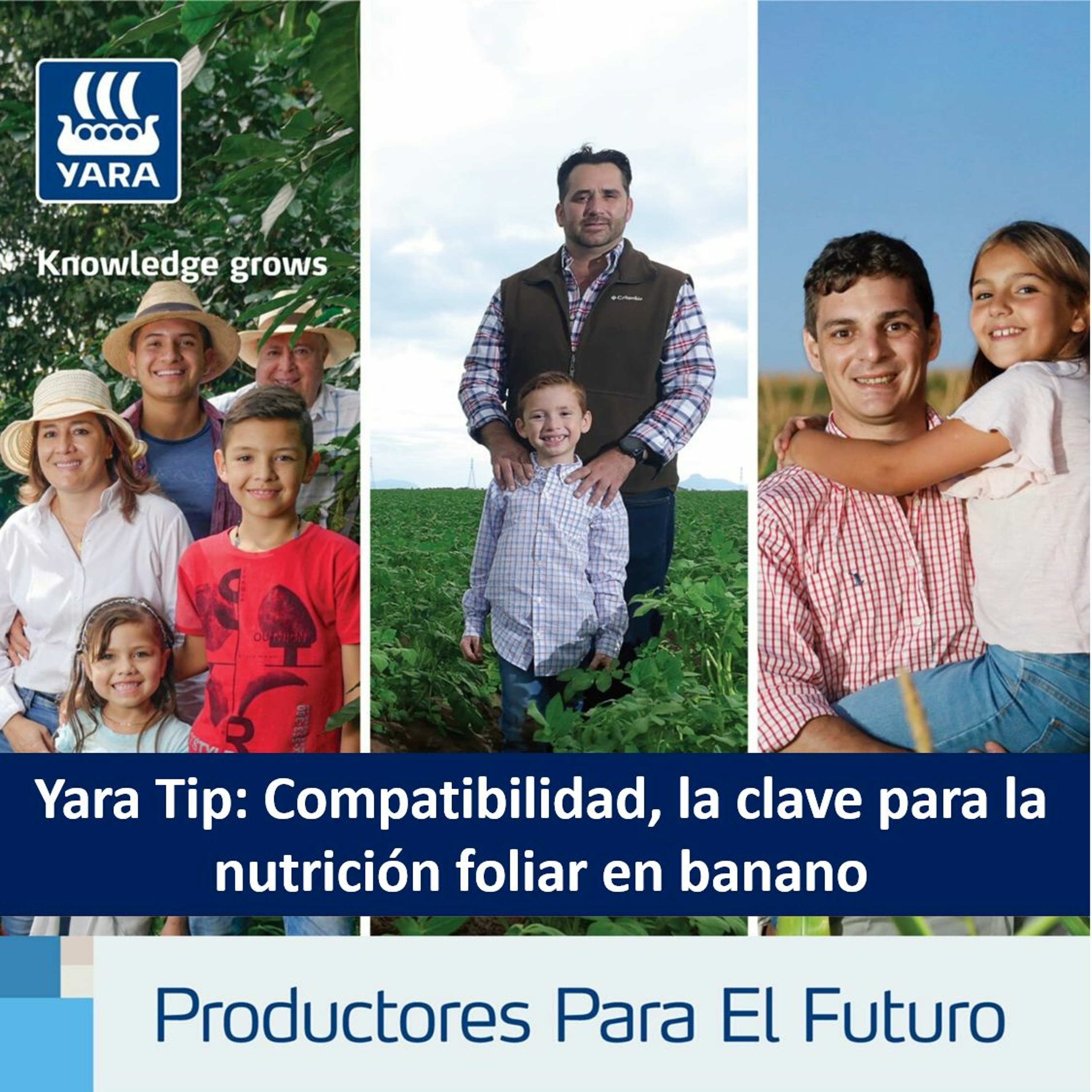 Productores Para El Futuro