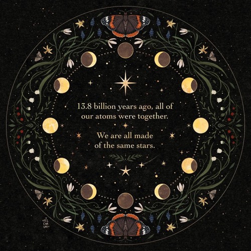 Our Universe [2023]