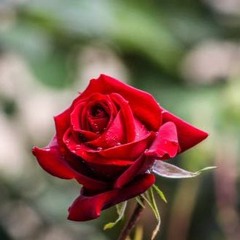 Winter is All Over You - First Aid Kid (Hot Pepper Remix)