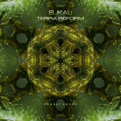 Terra Reform (Original Mix)