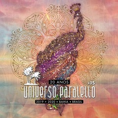 andrevictor @ Universo Paralello Festival 2019 (Chillout stage) Pratigi, Brasil