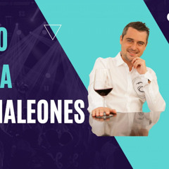 VINO PARA CAMALEONES Cap 27 La misteriosa caja de Vino y la pelicula que lo cambio TODO