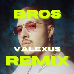 Rin - Bros (Valexus Remix)