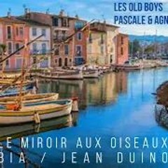 Le Miroir Aux Oiseaux - Les Old Boys