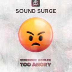 SOUND SURGE - TOO ANGRY