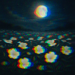 moonlight