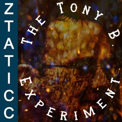 The Tony B. Experiment