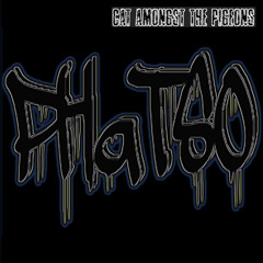 PHaTSO