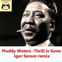 Muddy Waters -Thrill Is Gone (Igor Sensor Remix)