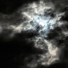 NEIGHBOURS YELL (ALL OF THE) (Edited and Extended)