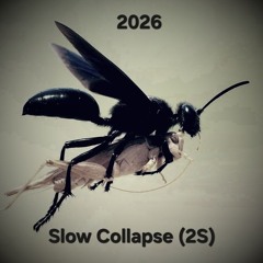 Slow Collapse (2S)