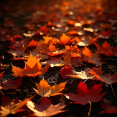 Electric Company Volume I