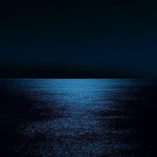 The Last Fox - Penumbra
