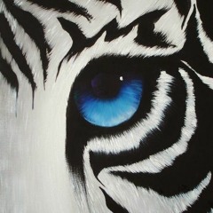 FJØRA & Windeskind - Eye of the Tiger