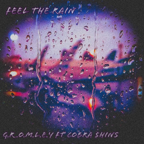 Feel The Rain Ft Cobra $hins