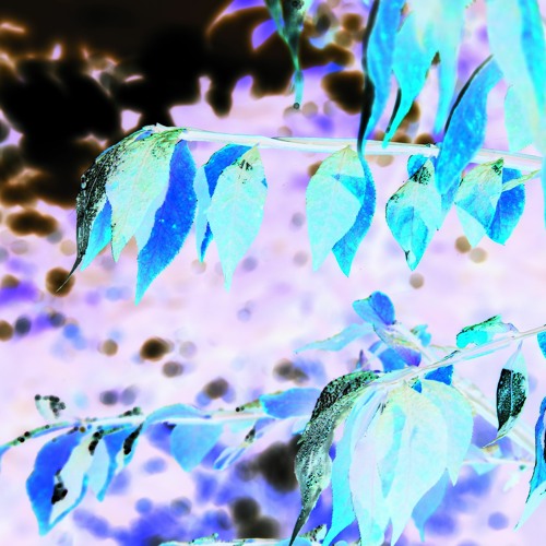 Het och tänd på dig - Hutter Inspiring Group